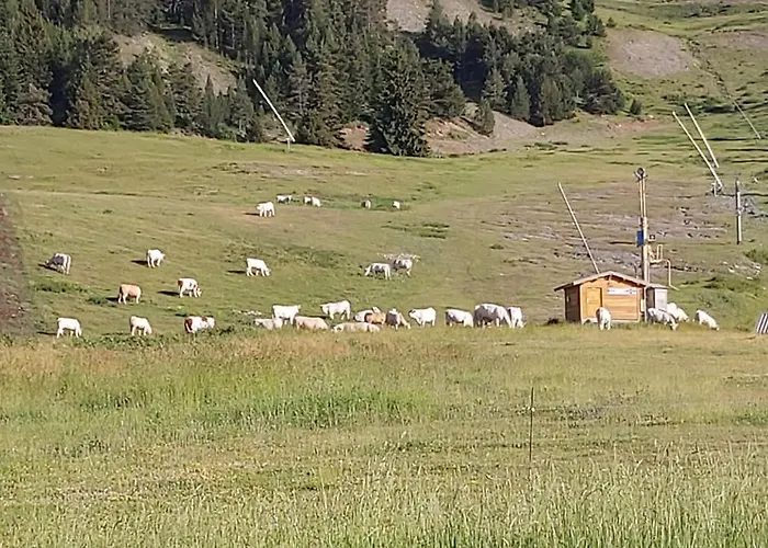 Idéal pour les vacances