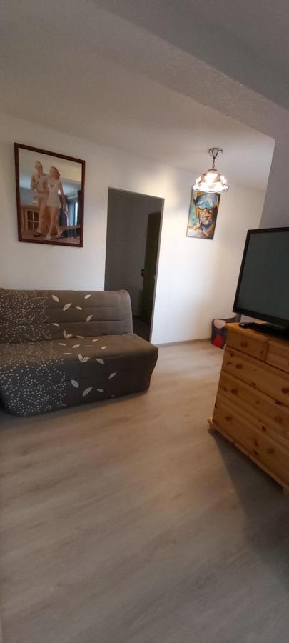 Appartement Idéal Pour Les Selonnet